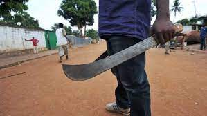 Machete toting gangs wrack havoc Gwanda